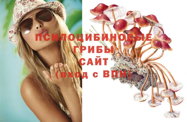 прущие грибы Алексеевка