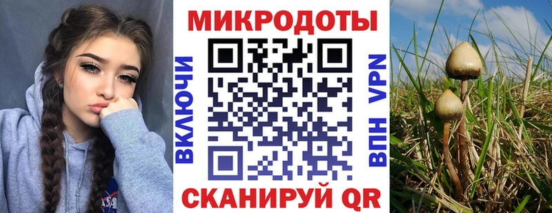 наркота  Родники  Галлюциногенные грибы мухоморы 